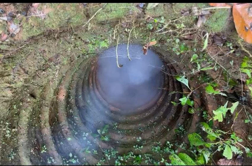  കൂടരഞ്ഞിയിൽകിണറിൽ കടുവ വീണു