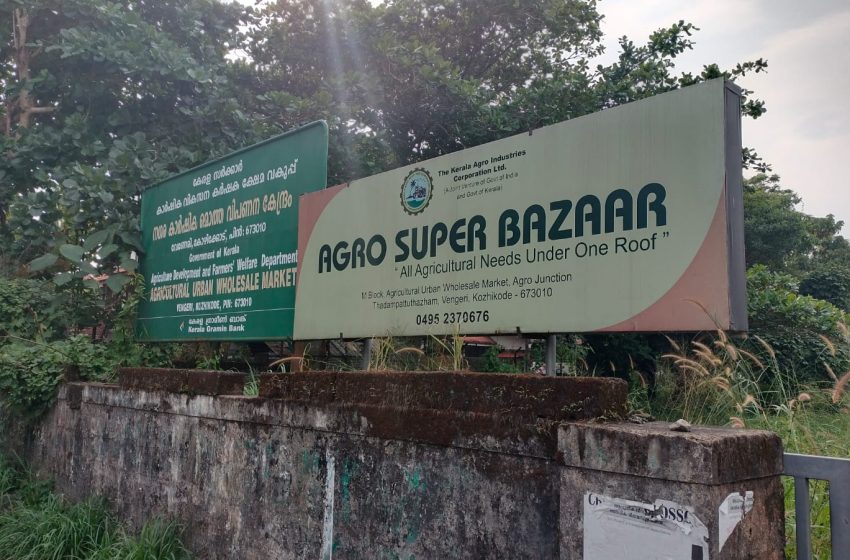  കാട് കയറിയ സർക്കാർ ഭൂമിയിൽ ക്ഷുദ്ര ജീവികളിൽ നിന്നും അഭയം തേടിപരിസര വാസികൾ ;സ്ഥാനാർത്ഥികളെ ഓർമ്മപ്പെടുത്താൻ ഒരുങ്ങി വോട്ടർമാർ