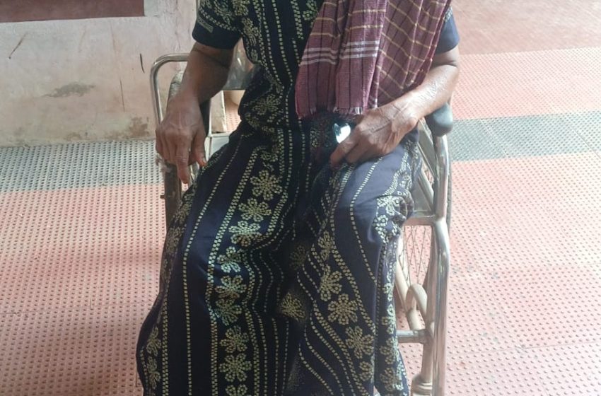  തൊഴിലുറപ്പ് തൊഴിലിനിടെ പെരുമ്പാമ്പ് ഭീതി പരത്തി ; ഭയന്ന് ഓടിയ വീട്ടമ്മയ്ക്ക് പരിക്ക്